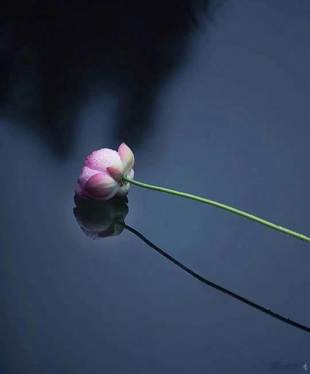 “人一旦悟透了，就会变得很沉默，不是没有与人相处的能力，而是没有逢场作戏的兴趣。