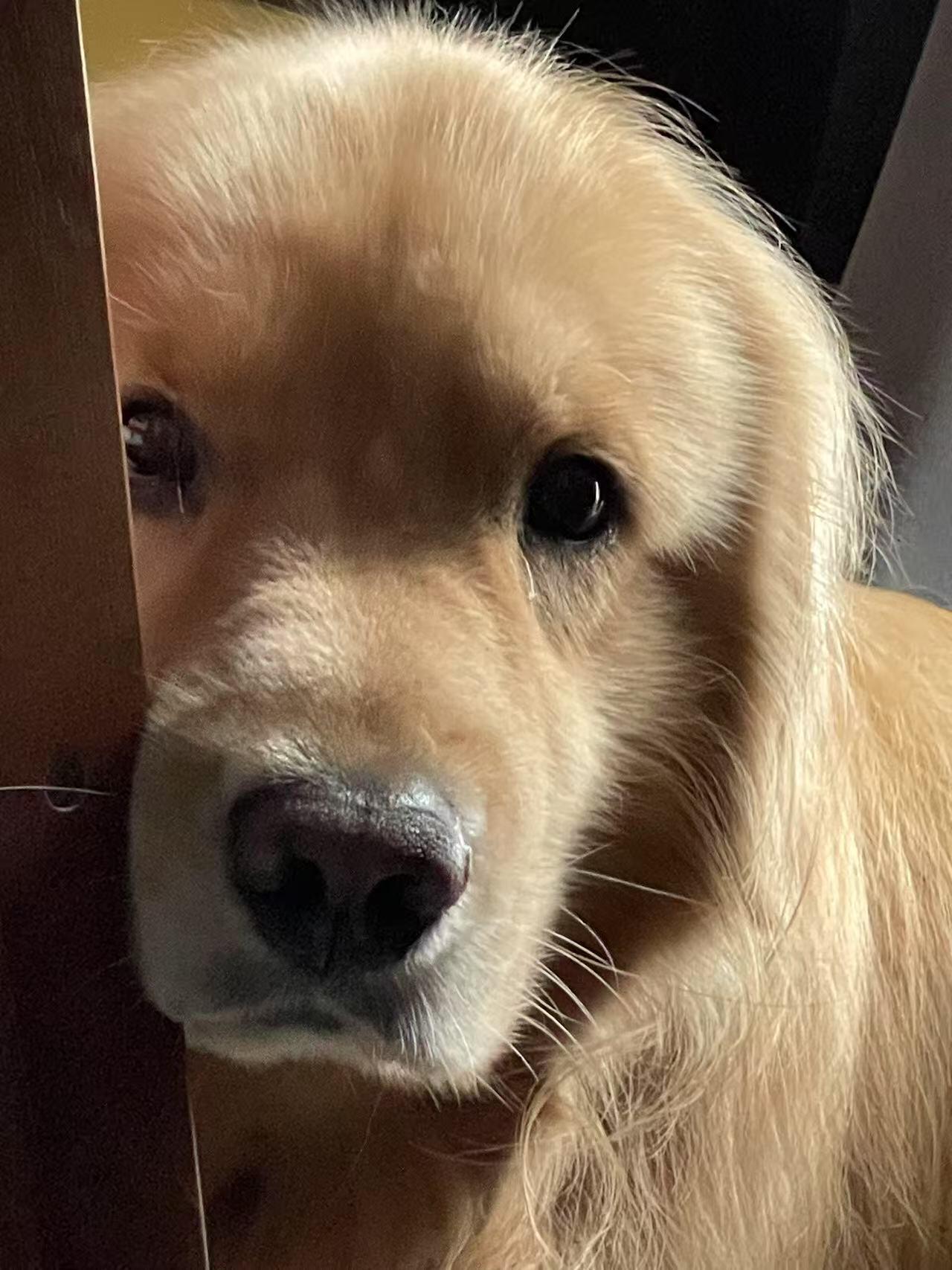 妈妈，你可以不去上班吗？ ​​​