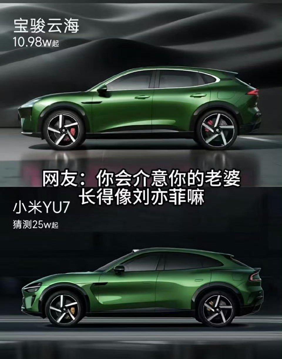 网友：你会介意你的老婆长得像刘亦菲吗？
用10多万的宝骏云海和小米YU7做对比