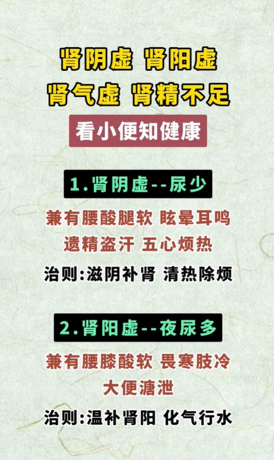 尿少、夜尿多、尿频，四种肾虚一眼分清