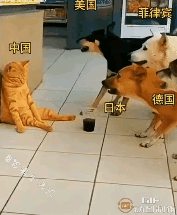 形象生动的展示了当前的形式。