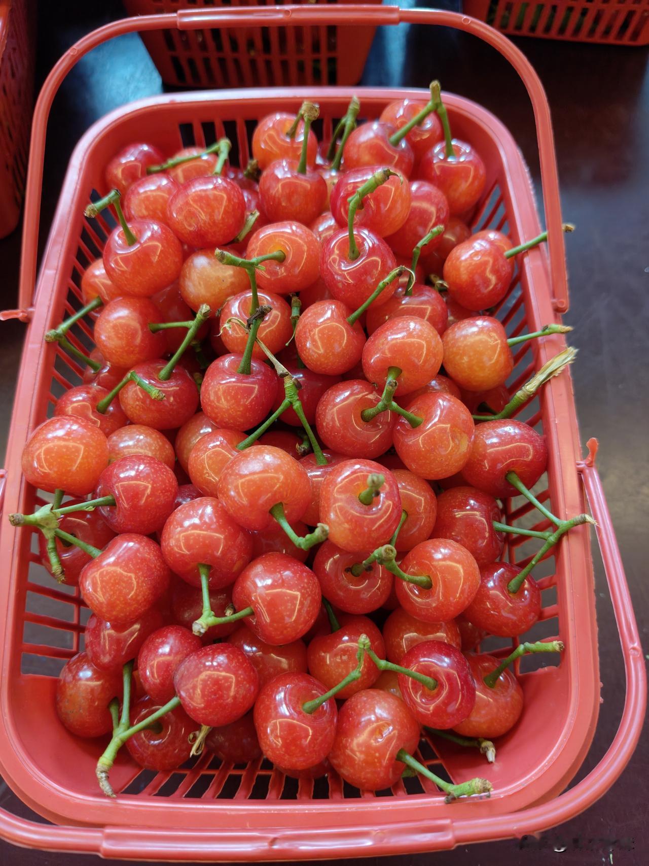 樱桃15元一斤，还保证没有一颗烂的，我们都是一颗一颗选好装筐的，客人还说贵了！