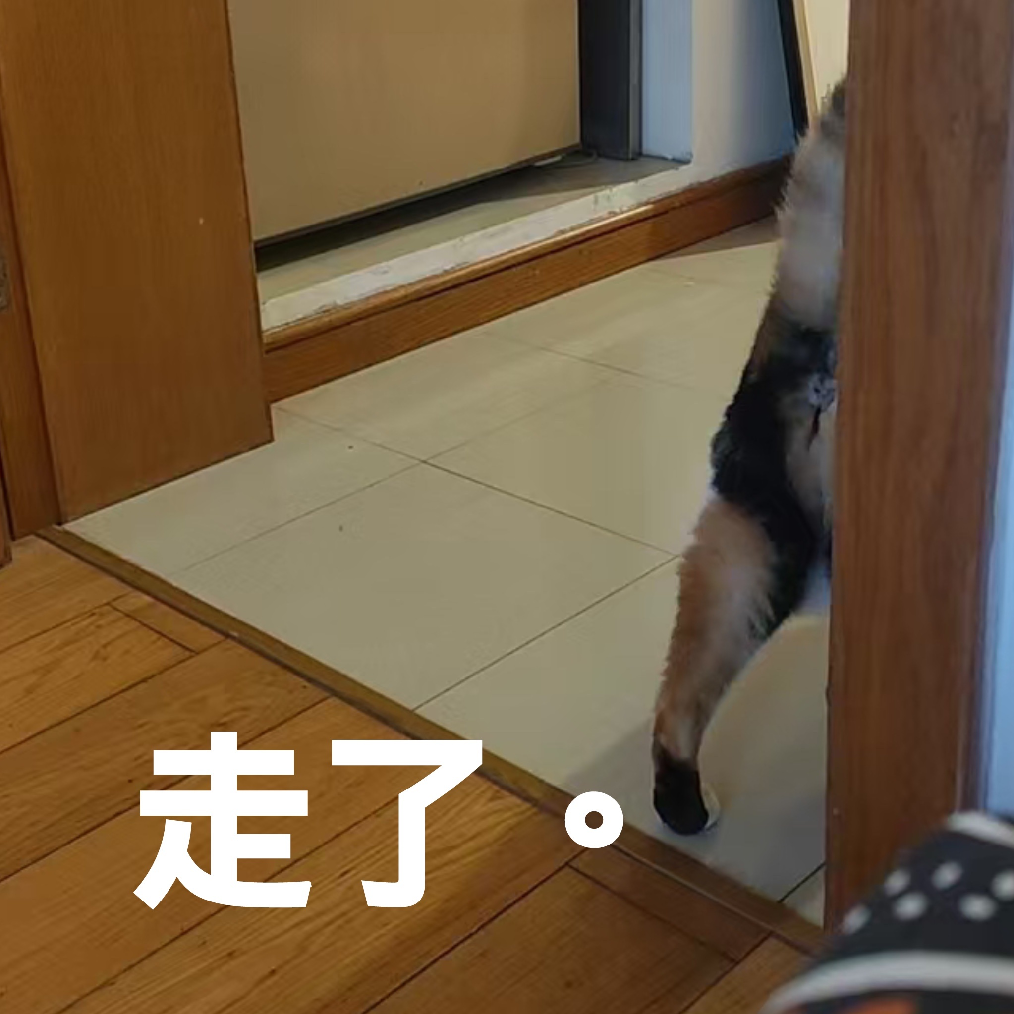 無情咪醬