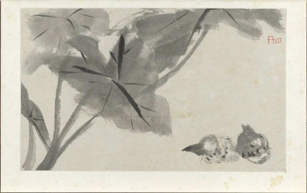 朱耷（八大山人）寫生冊 芋康熙四十年辛巳（1701）藏台北故博 