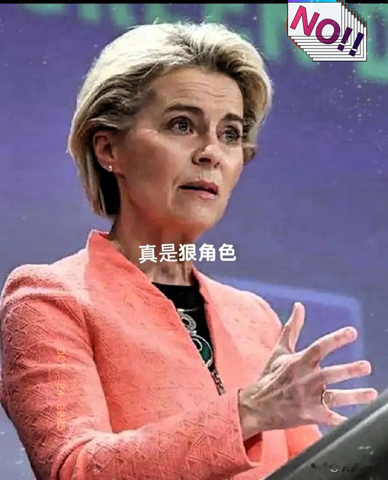 就在刚刚
欧盟委员会宣布
欧盟第19轮对俄制裁砸向LNG！看似狠招，实则欧洲自己