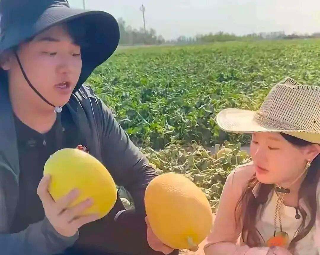 全红婵的未来3选1：留校、当教练、还是和哥哥带货？——19岁大满贯的人生十字路口