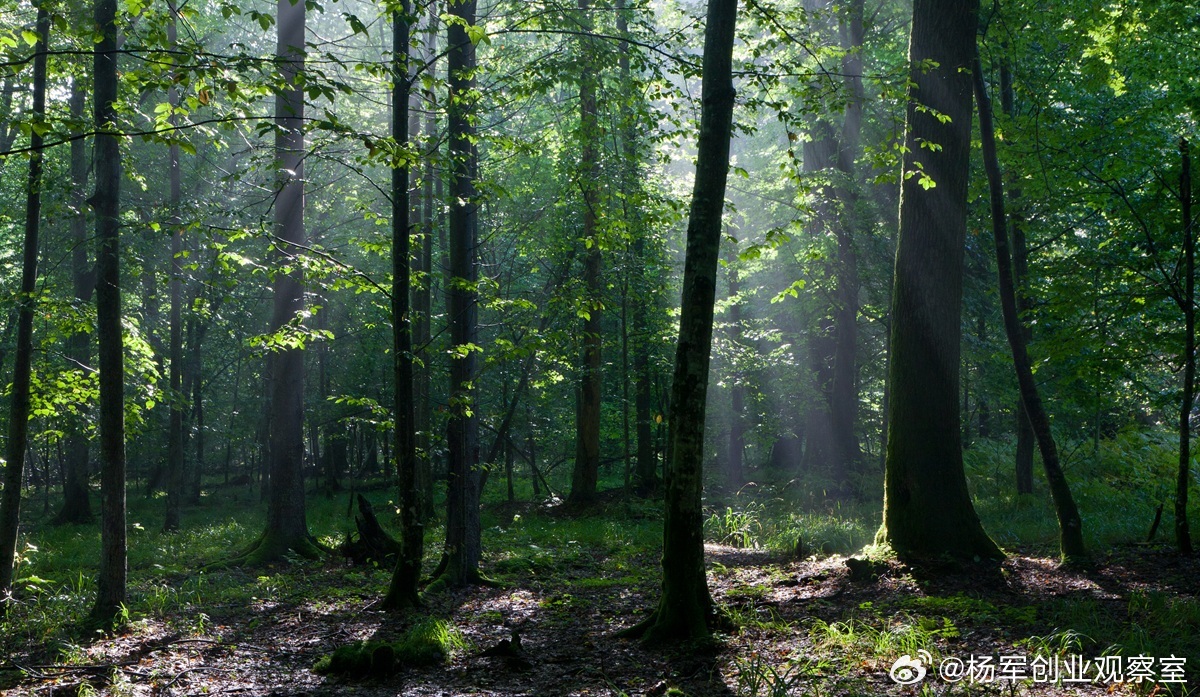 如何判断一个创业者能否成功？高成功概率创业者主要有下面两个特征：一看：是否具备“