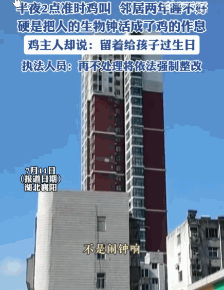 自私自利！湖北襄阳，某小区一居民，在三楼公共平台养这只鸡两年如一日，坚持每天凌晨