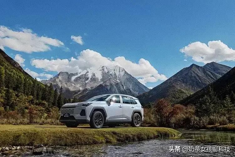 🎉2026年3月1日财富运势
第一名生肖狗94%
第二名生肖蛇93%
第三名生