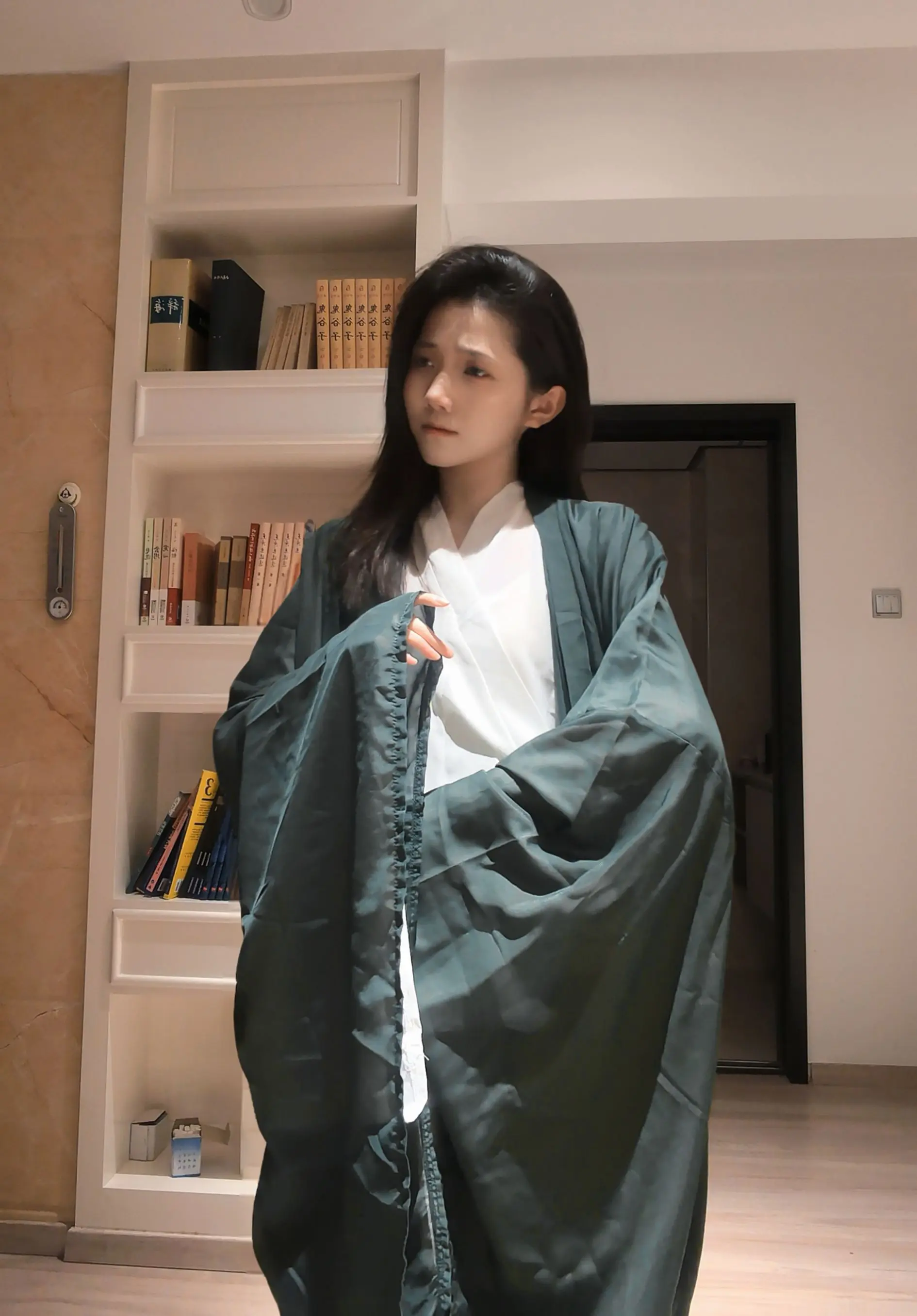 纵有鸿鹄平生志   终被朱门锁寸心