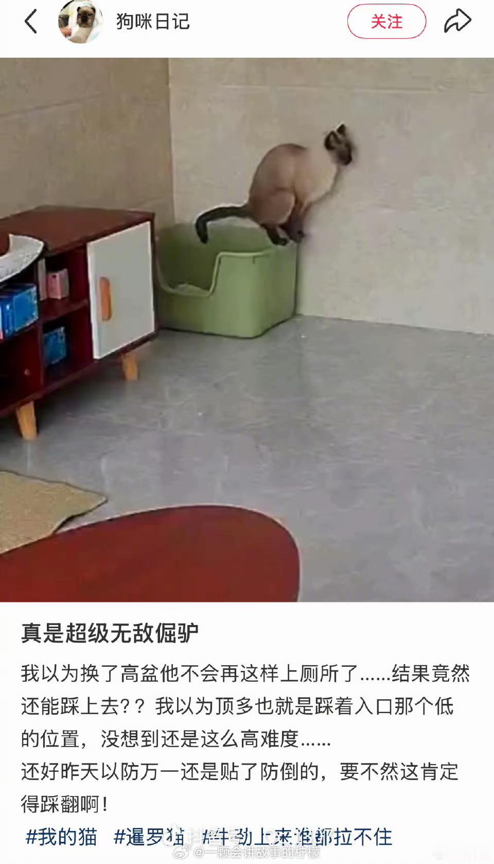 哈哈哈哈哈哈哈哈哈哈哈，超级无敌倔强的小猫咪 ​​​