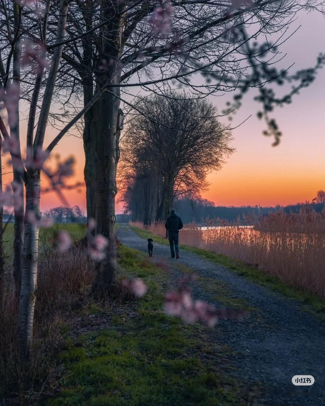 想看看你们最好看的一张壁纸