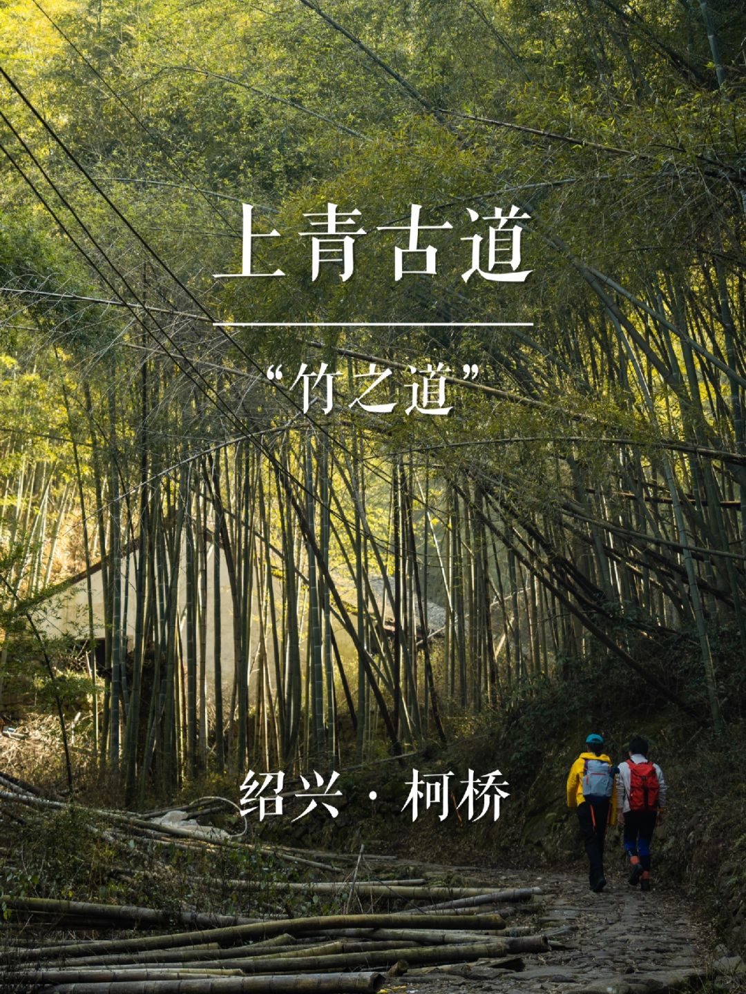 “竹之道”上青古道 | 华东名山录