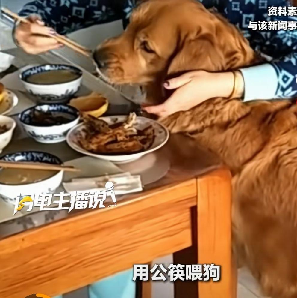 9月17日，温州一顾客到一家西贝餐厅用餐，发现邻桌有人用公筷直接喂狗！这一举动令