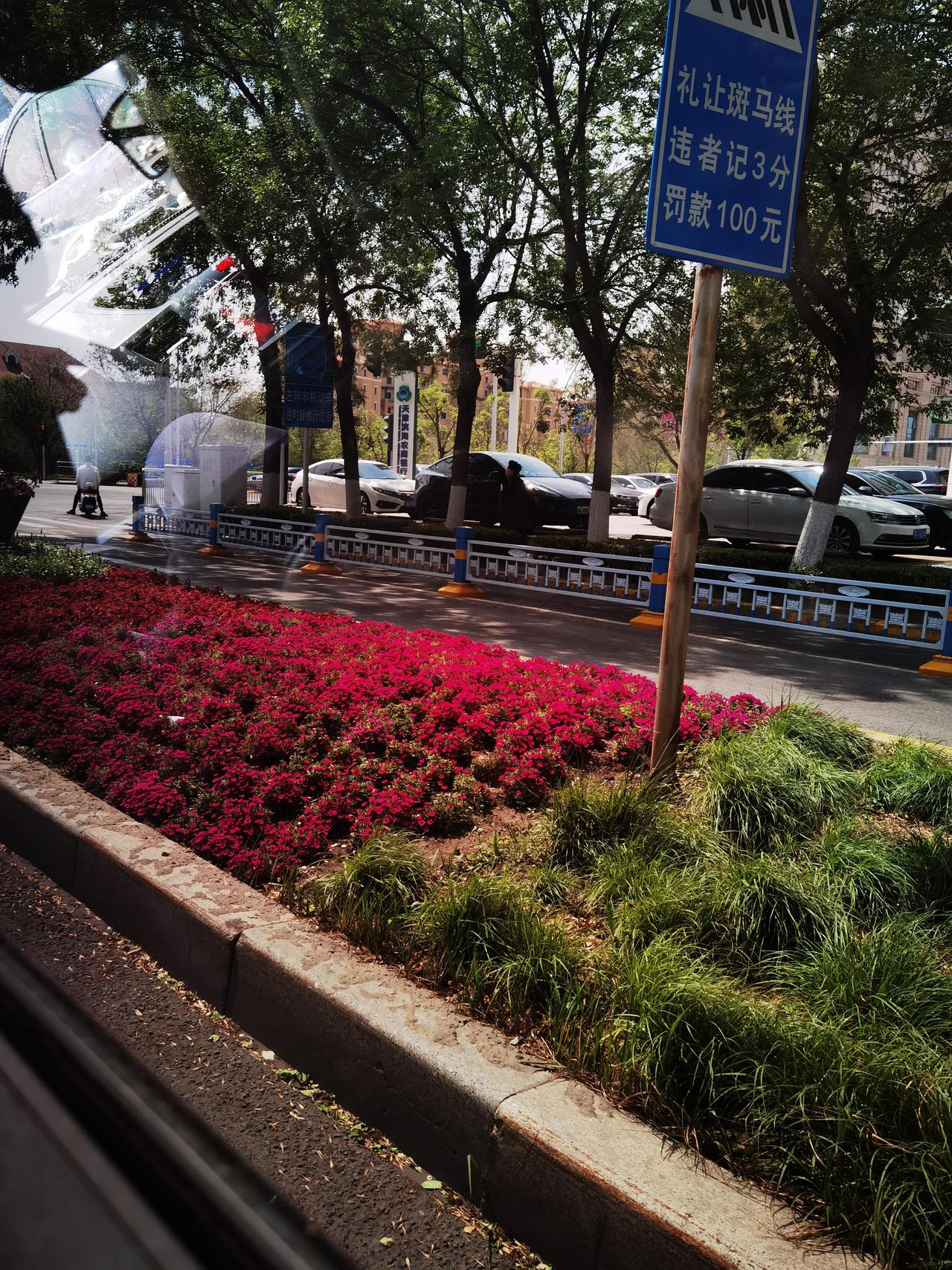 路边美景处处都是，拍照留念