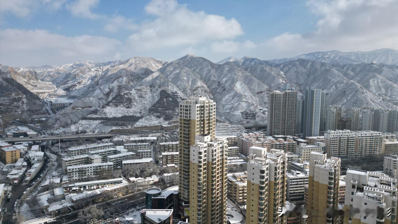 寒中梅韵，梦之华章
原创:真情永远

在时光的长河中徘徊，我踏入了一个被严寒统治