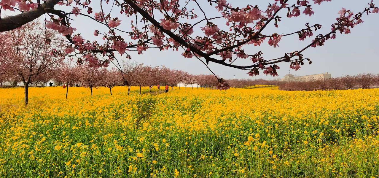 一觉醒来，美股又要接近历史新高了！

1、美伊和谈即将重启。美国总统特朗普表示，