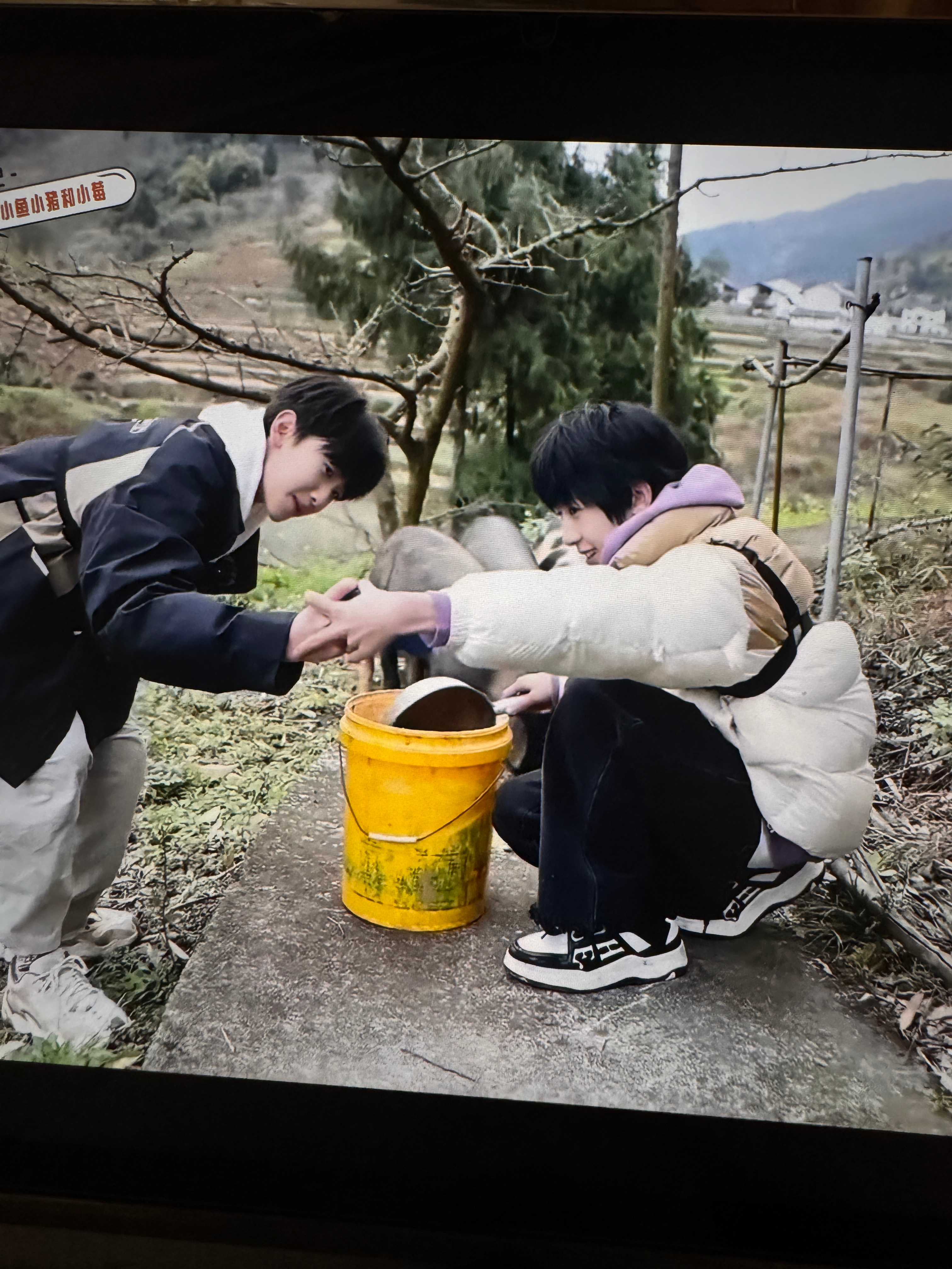 猪爸猪妈 