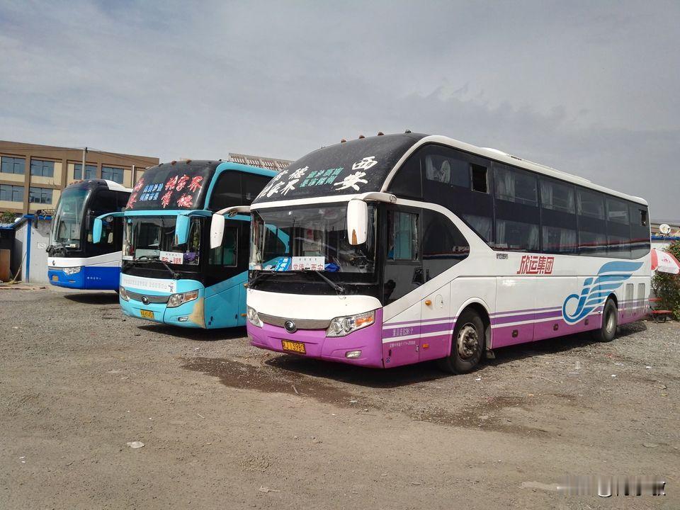 常德欣运鼎盛时期是湘西北道路运输的 “陆运航母”，实力在全省同行业名列前茅。作为