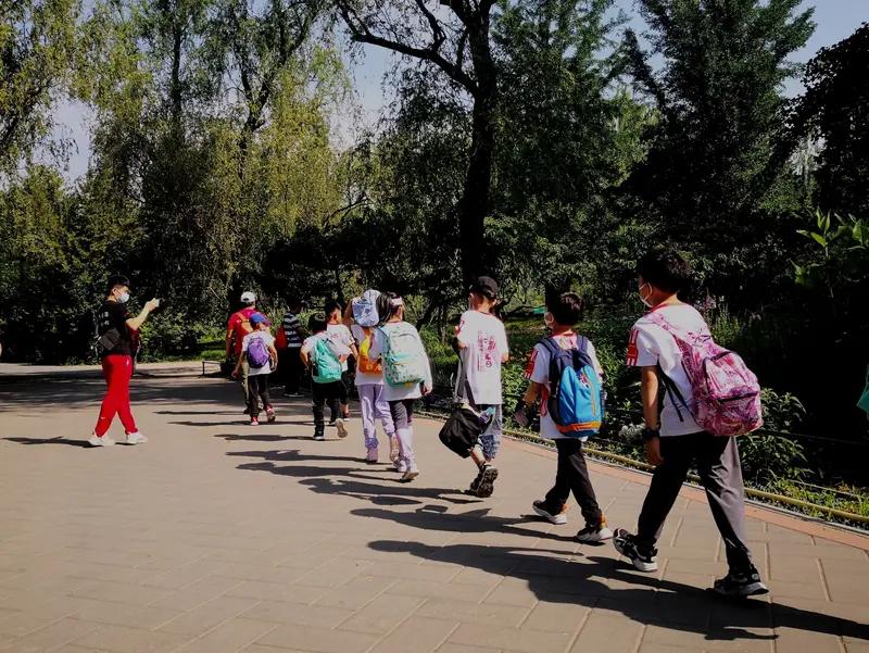 春秋假最怕“一放了之”，更怕“放而无用”！家长没空陪、景区堵到挪不动、考试压得喘