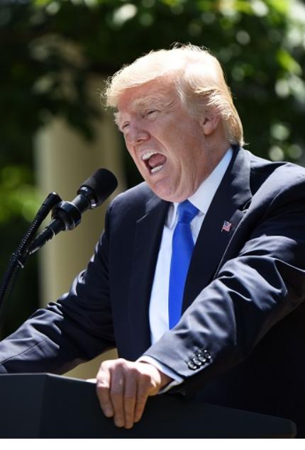 特朗普说了实话，二战胜利跟法国没什么关系，法国是最先投降的，我是真搞不懂，一个在