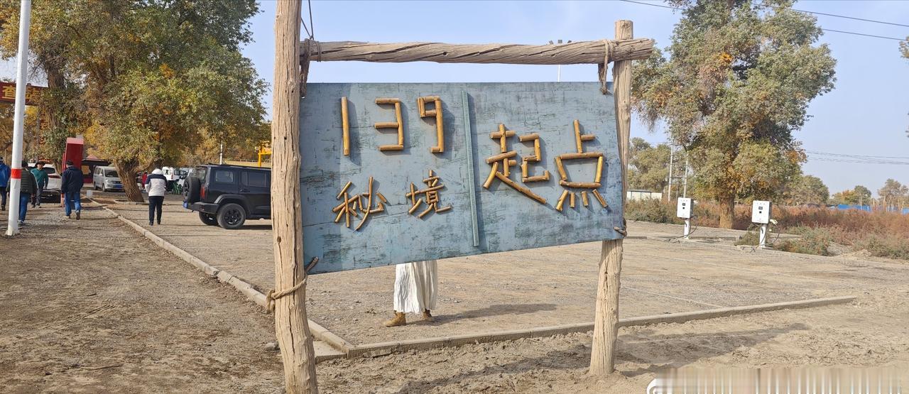 23号从库车到沙雅，沿139秘境公路观赏胡杨林，中午到达塔里木湿地公园，胡杨林更