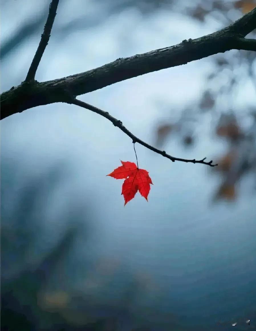 俄乌冲突局势复杂，

有长期化趋势。

美国借乌克兰遏制俄罗斯经济发展，

这种