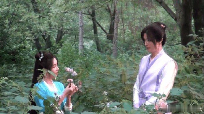 #郑合惠子官鸿是拍的双女主剧吗# #郑合惠子杂草系女主再上线#《君如玉》路透照曝
