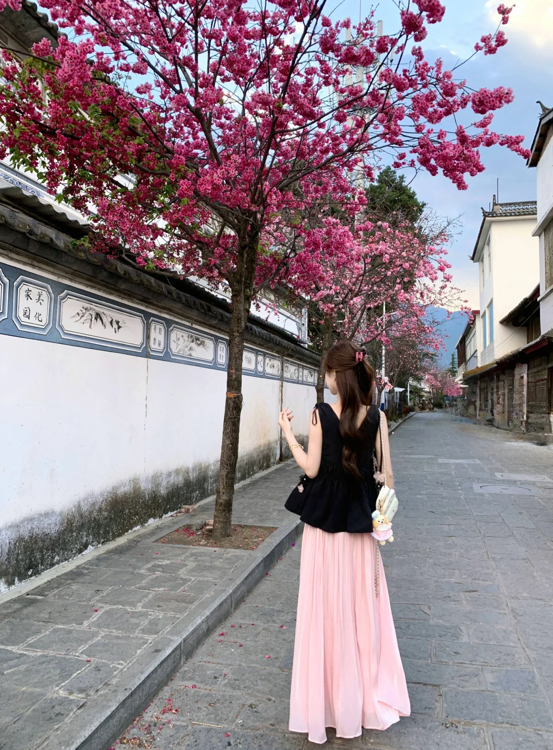 樱花树下🌸