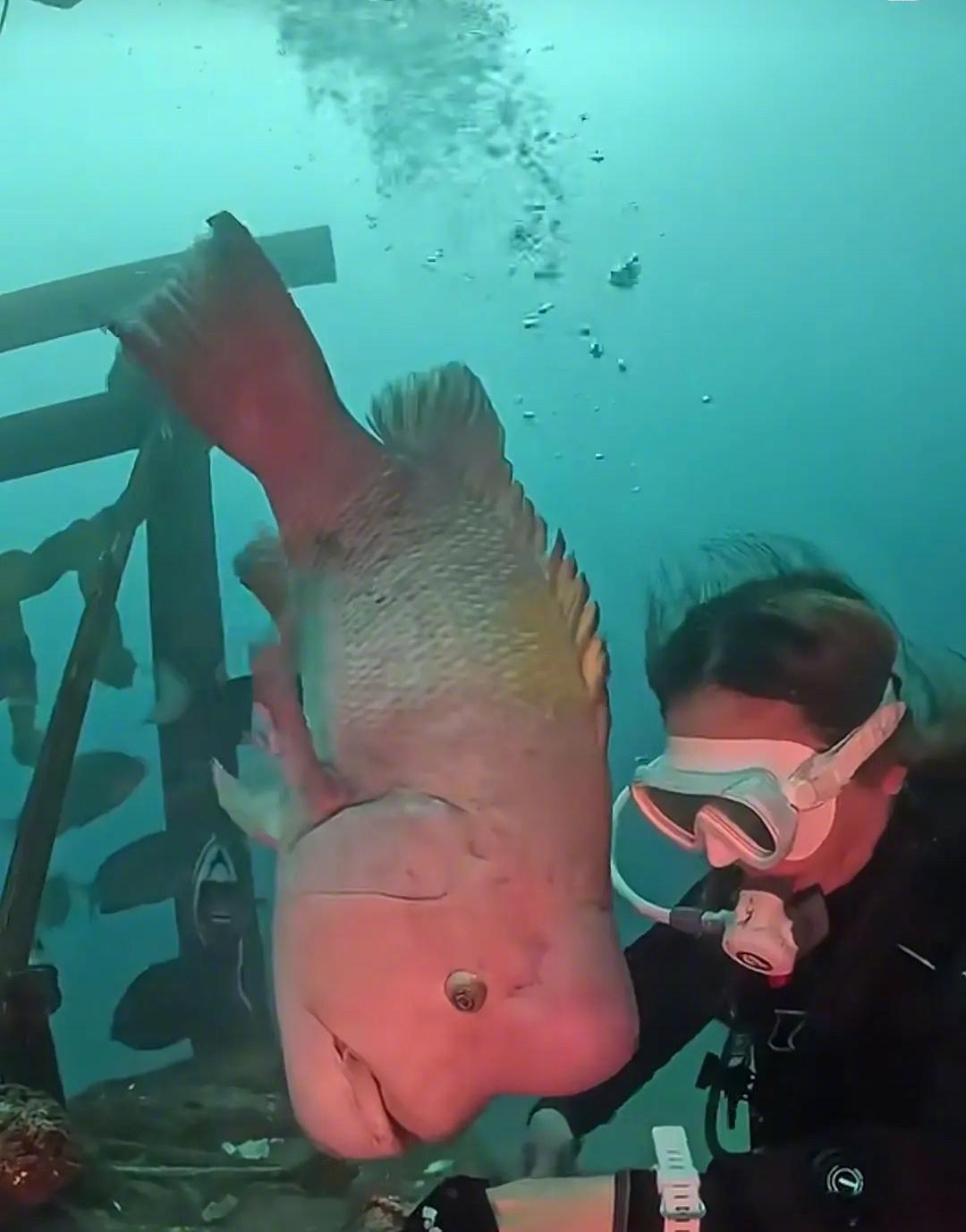 你还我周杰伦[苦涩] ​​​