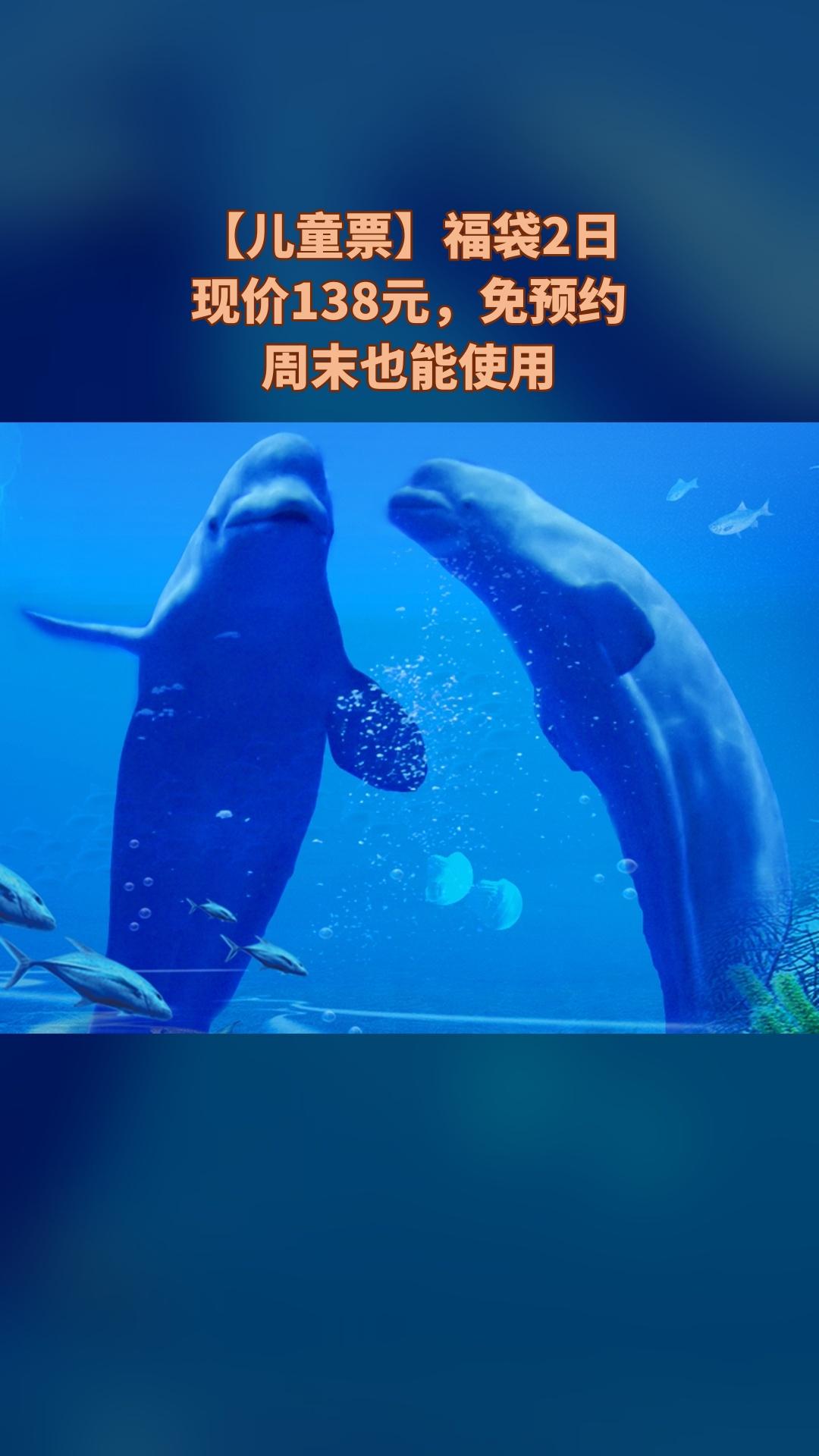 冰雪海洋世界，上新啦！快来买它，【儿童票】福袋2日，景区官方、随时退、过期退