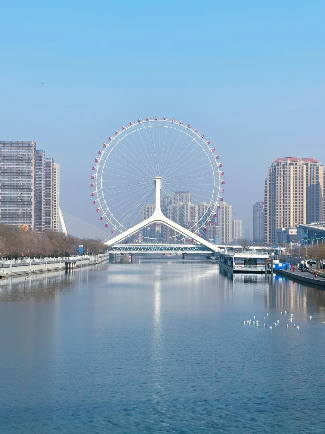 小长假来天津这样玩✨天津旅游避雷攻略