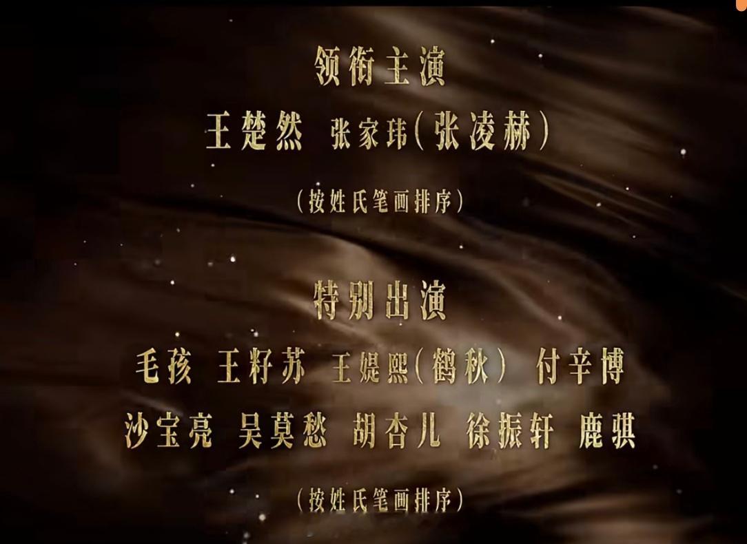 牛牛张凌赫痛失艺名。。这一秒过火预告