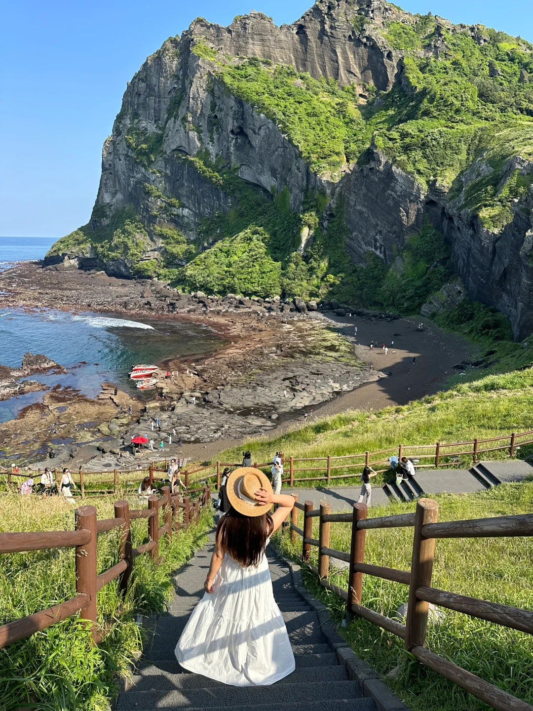 我宣布！接来下的济州岛堪称旅行天花板🥳