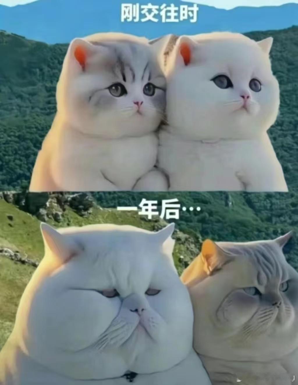 我老婆已经早起两天了，每次都爬半小时楼，大汗淋漓的回来。卷得我在床上躺着都不安心