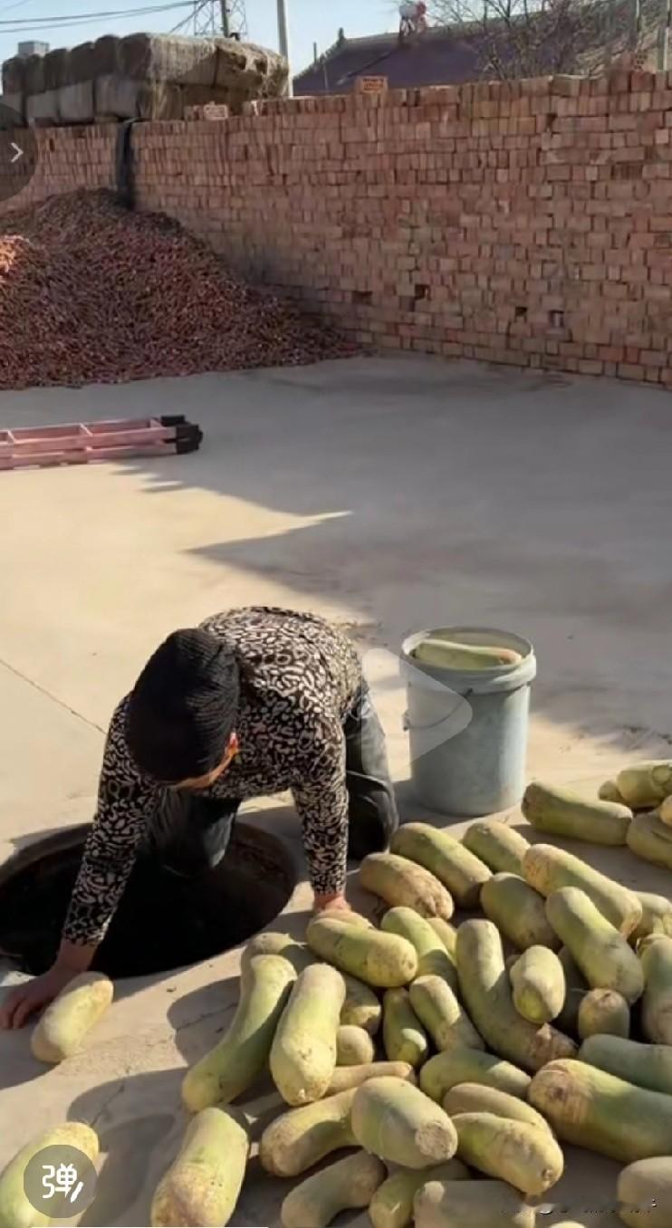 黑梅梅家这个地窖是我小时候的噩梦，现在还经常梦见卡地窖里了，上不去下不来！以前我