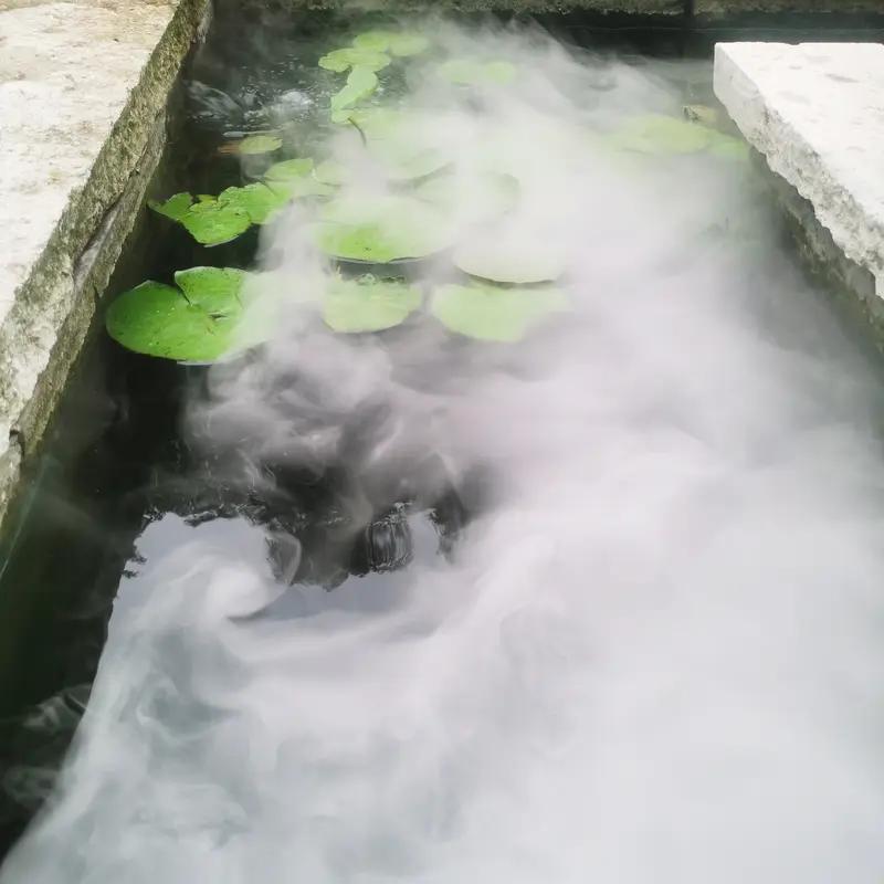 气爽心清
 
风拂尘嚣万里宁，天高云淡眼空明。
林间露润青山秀，陌上烟轻俗虑平。