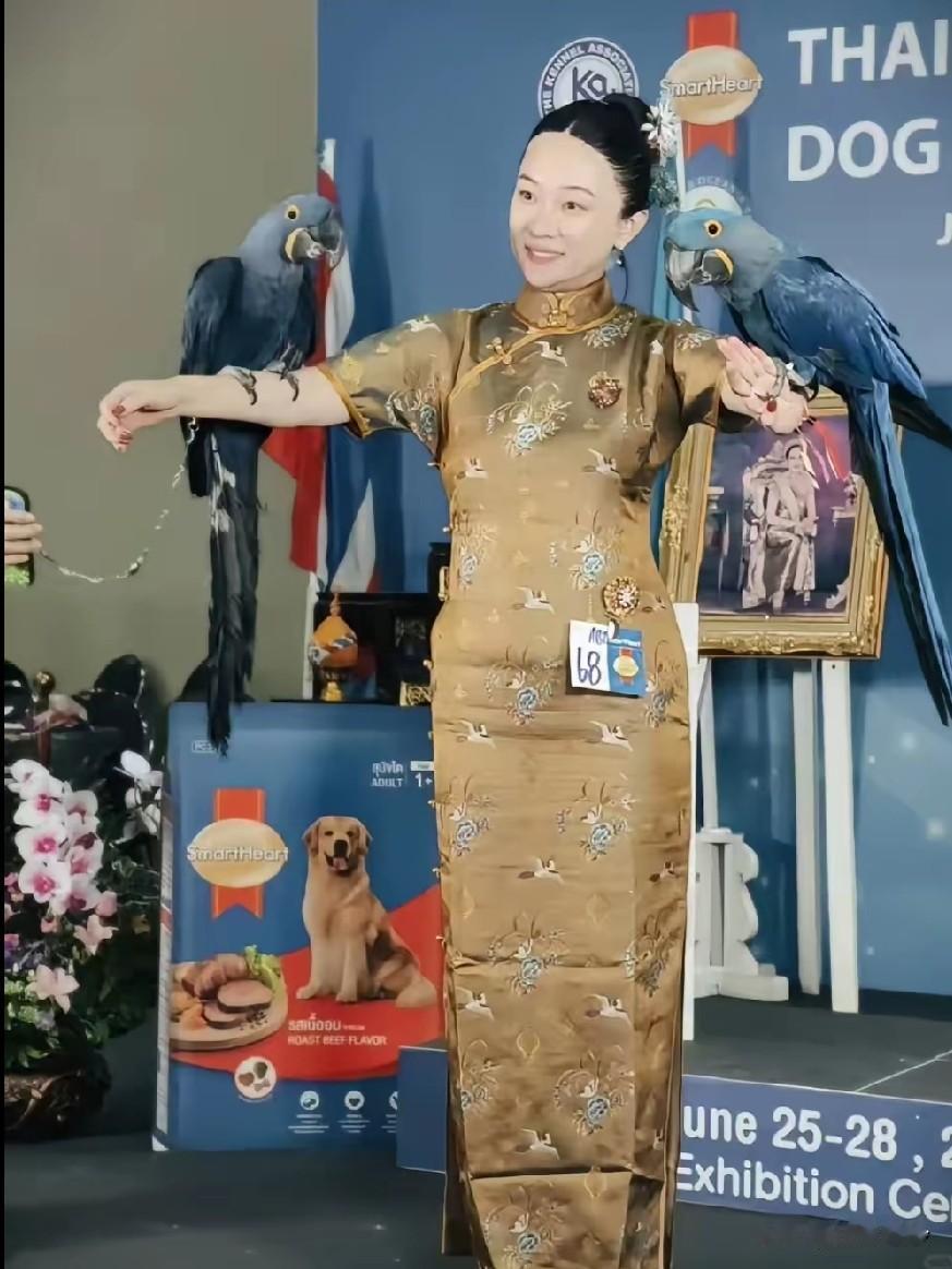霍思燕成了动物专家训练师，不但狗争气，鸟也争气[捂脸]，这个赛道独一人，她家是有