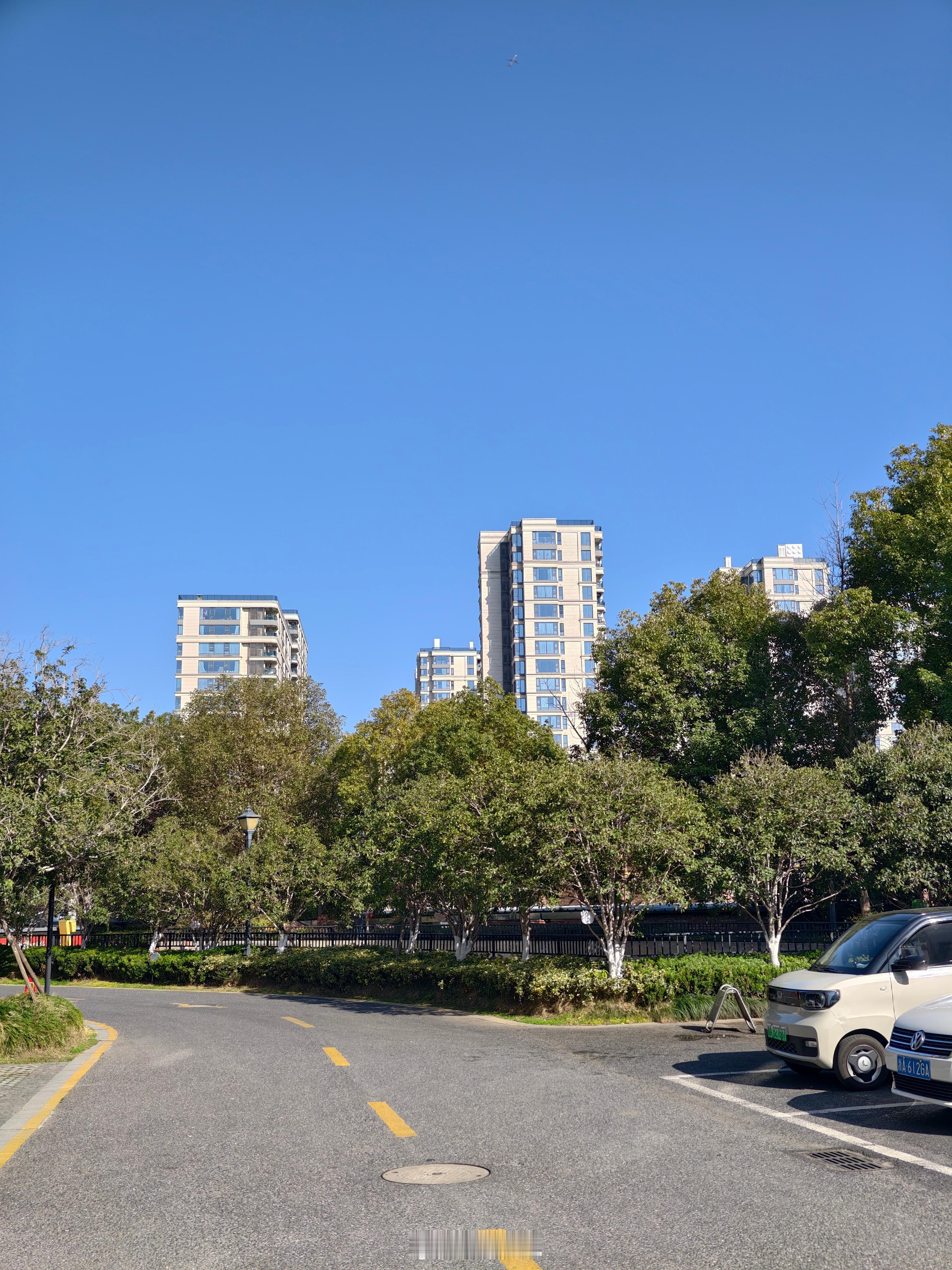 杭州这一下感觉快入夏了你在的城市最近有没有升温？ 