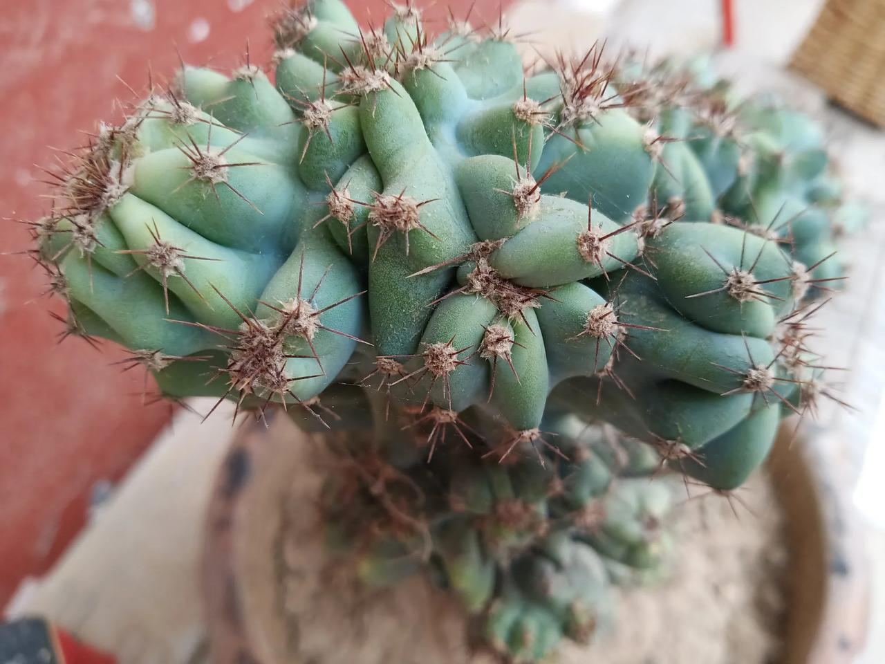 享受自己当下的每一天，就是领取我们的生命的福利。
天天都要收好自己的福利哦！
哪