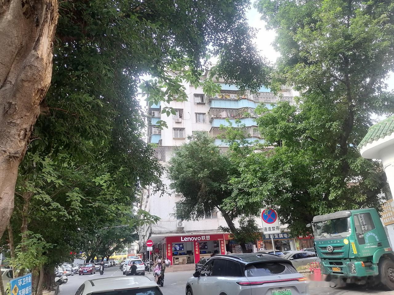 惠州西湖附近的老街，房子矮矮街道也窄窄的，到处停放着汽车！