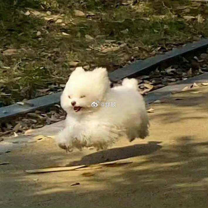 八月，你期待的正在向你跑来！ 