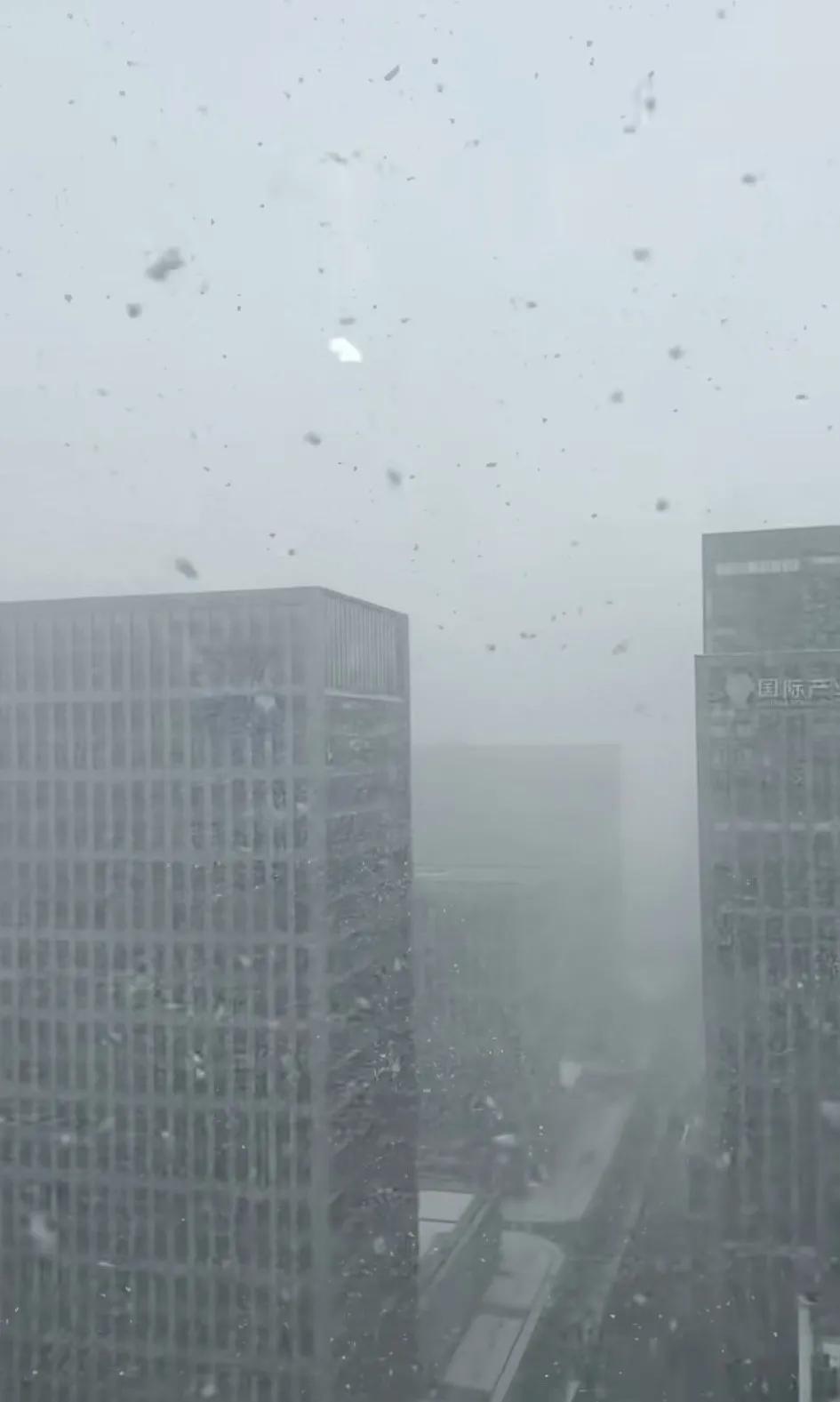 威海下暴雪了，这降雪量，鹅毛大雪，就好像化为了灰烬，车开在路上对面不见人
出门冻