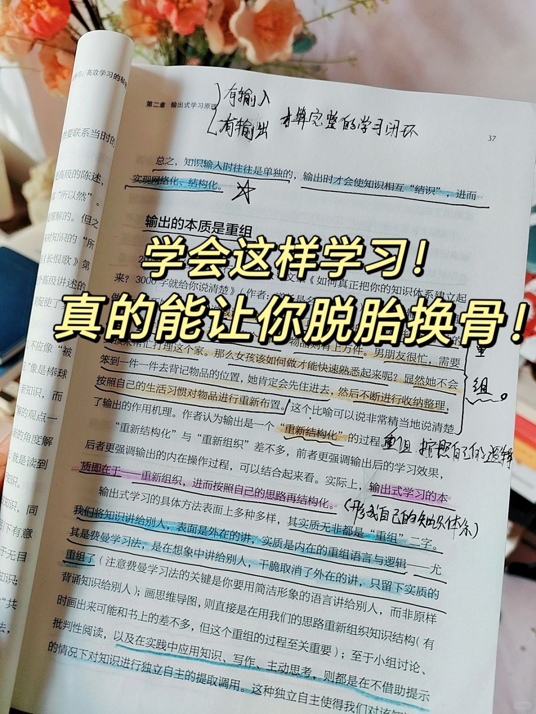 大彻大悟❗彻底颠覆学习思维！