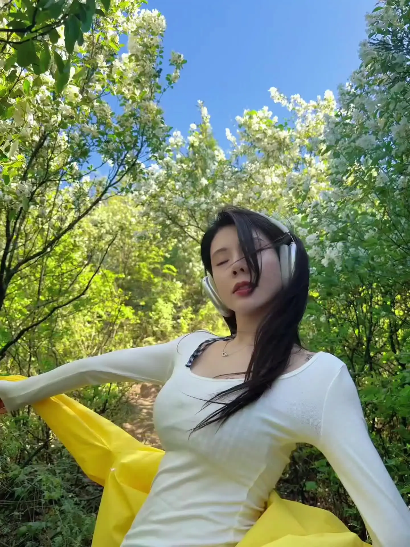 大树会拥抱每一个抬头的人