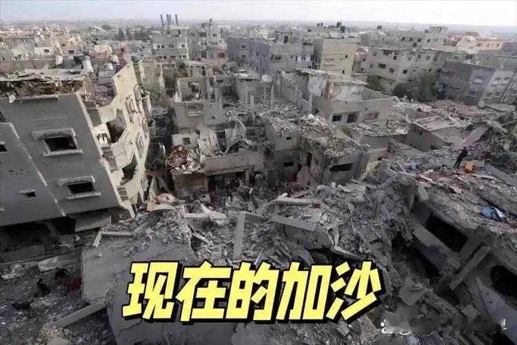世界潮流，顺之者昌，逆之者亡。以色列在加沙地带的反人类暴行骇人听闻，全球共斥以色