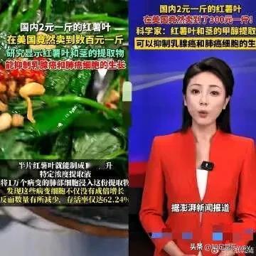 今天被这条新闻惊到了，农民这次要致富了，终于有盼头了！这以后红薯叶，在国内恐怕也
