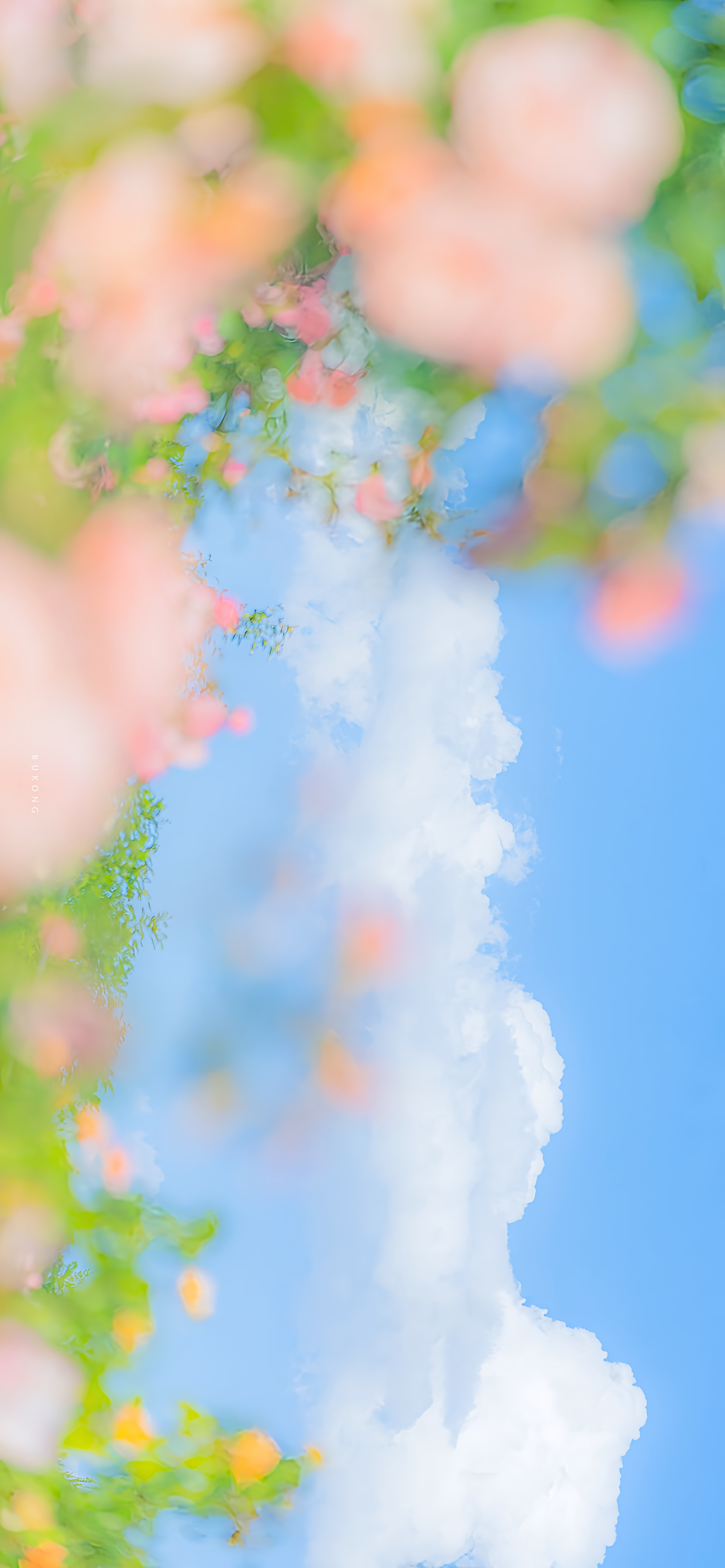 𝐬𝐡𝐚𝐫𝐞 · 新的壁纸 