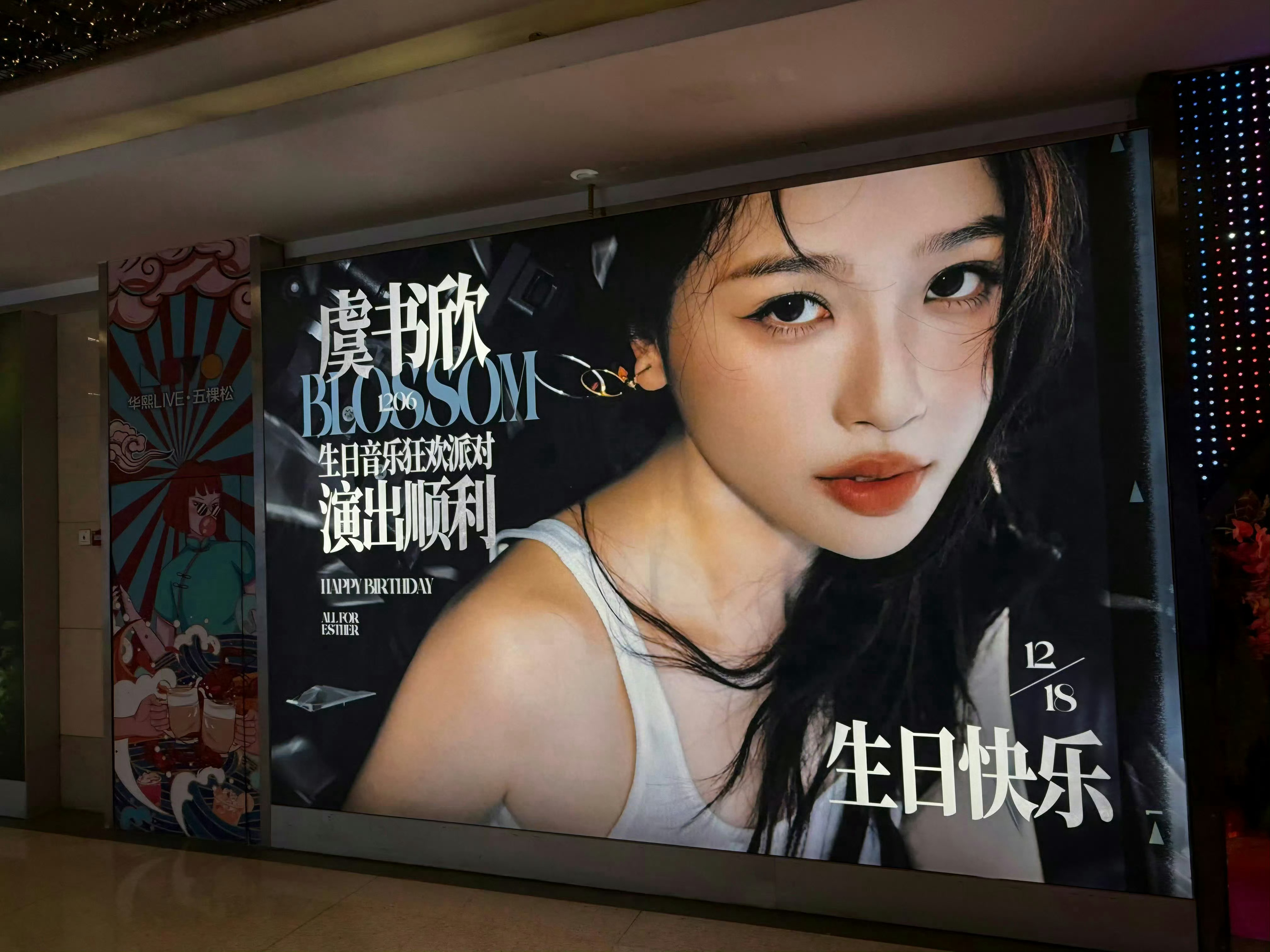 虞书欣生日演唱会的粉丝应援 