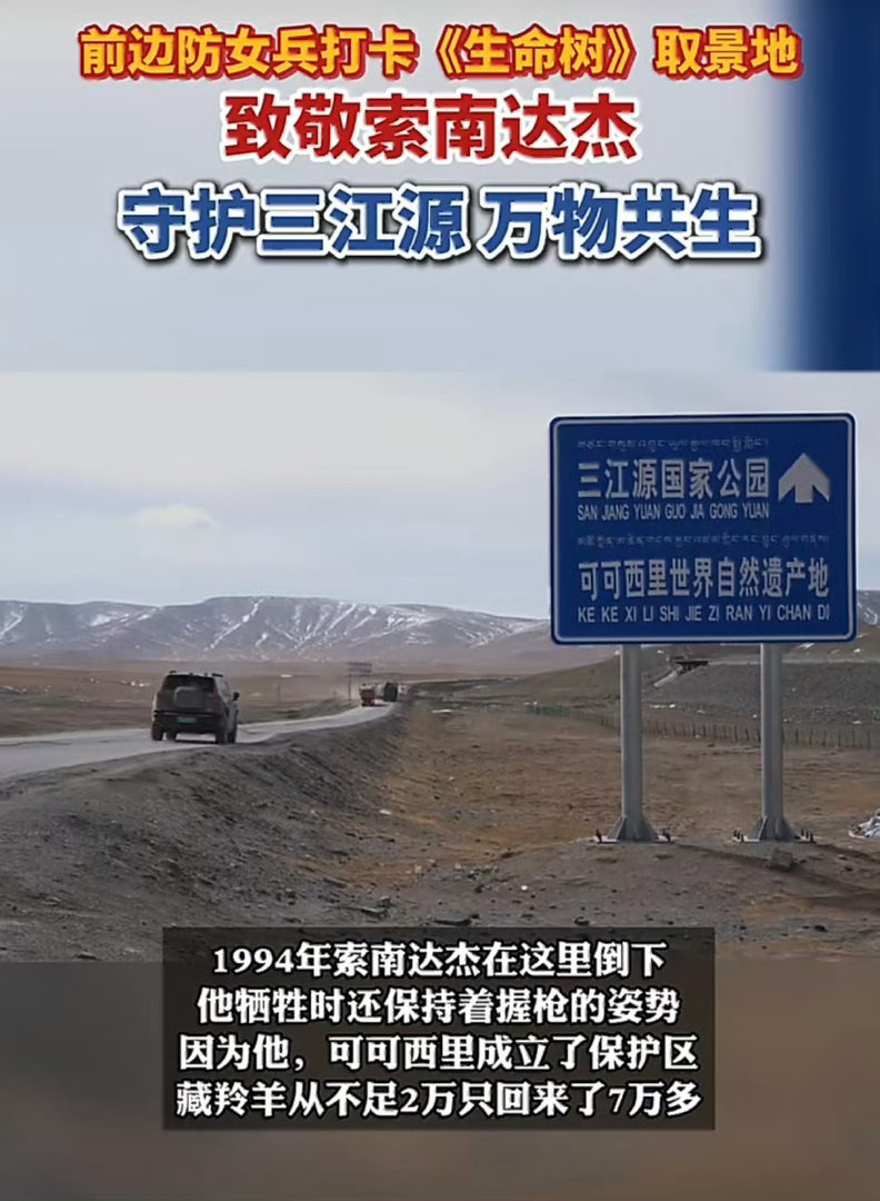 跨越千里奔赴青海，湖北姑娘走进生命树取景地，踏遍高原热土。心怀赤诚缅怀英雄索南达